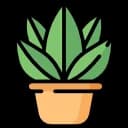 Icona planta decorativa