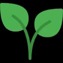 Icona planta decorativa
